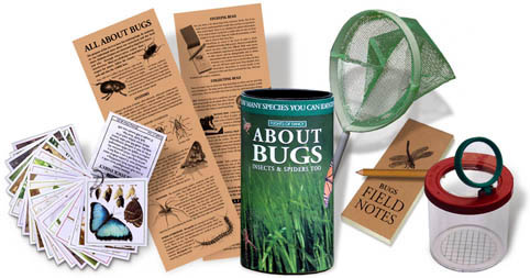 Flights of Fancy All About Bugs kit