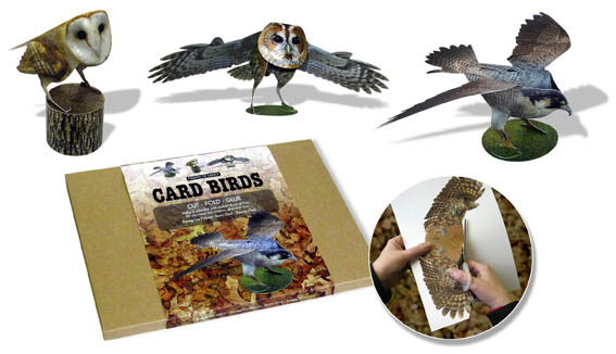 Flights of Fancy About Birdwatching Kit