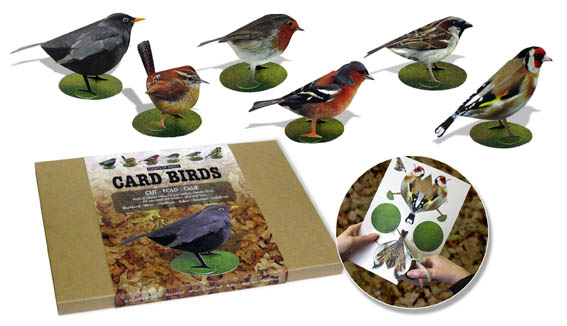 Flights of Fancy Popular Garden Birds