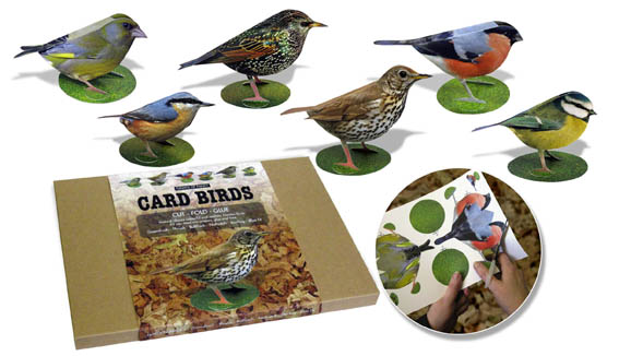 Flights of Fancy Popular Garden Birds
