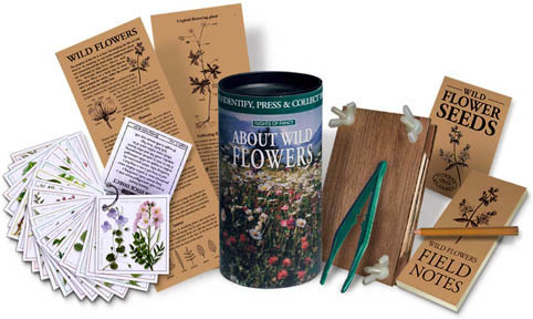 Flights of Fancy About Wildflowers Kit