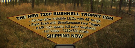 Bushnell 720P Trophy Cam