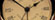 Travel & Desk Clocks