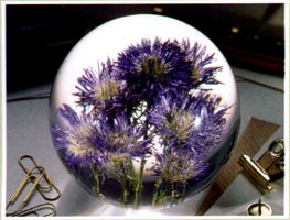 Casino Purple