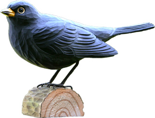 DecoBird Blackbird