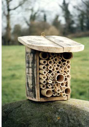 Habitats for Insects 