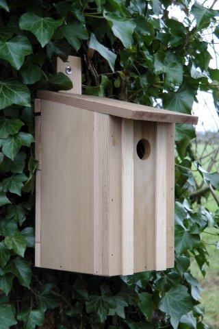 Wildlife World Cedar Eco Bird box