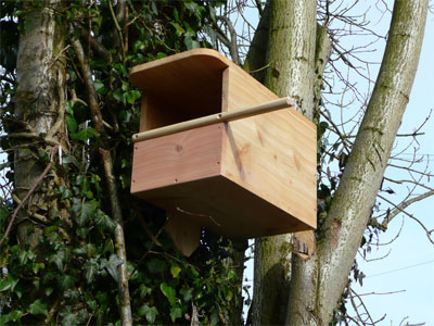 Wildlife World Specialist for birds 