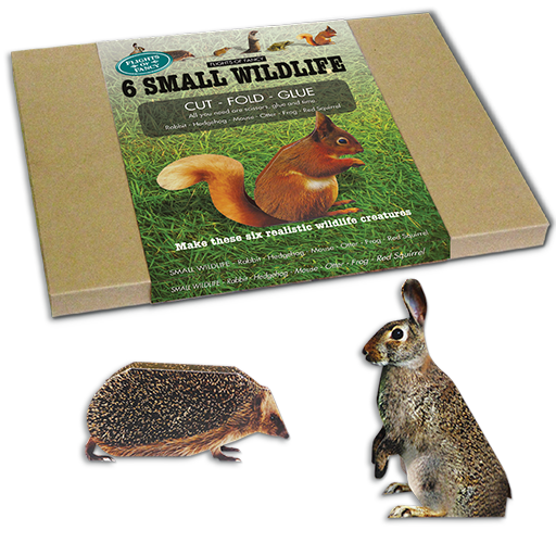 Flights of Fancy Small Wildlife