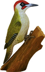 DecoBird Green Woodpecker